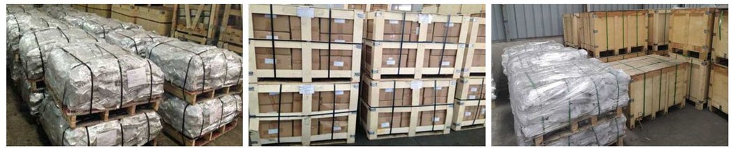 rail spike rail spike